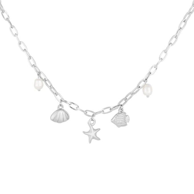Beachy Glow Ketting | RVS (verkleurt niet) | Zilverkleurig