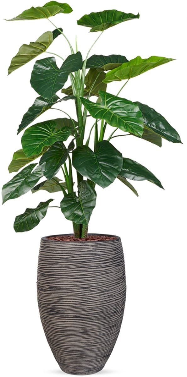 Kunstplant Philodendron in Vaas elegant Deluxe rib antraciet H155 cm