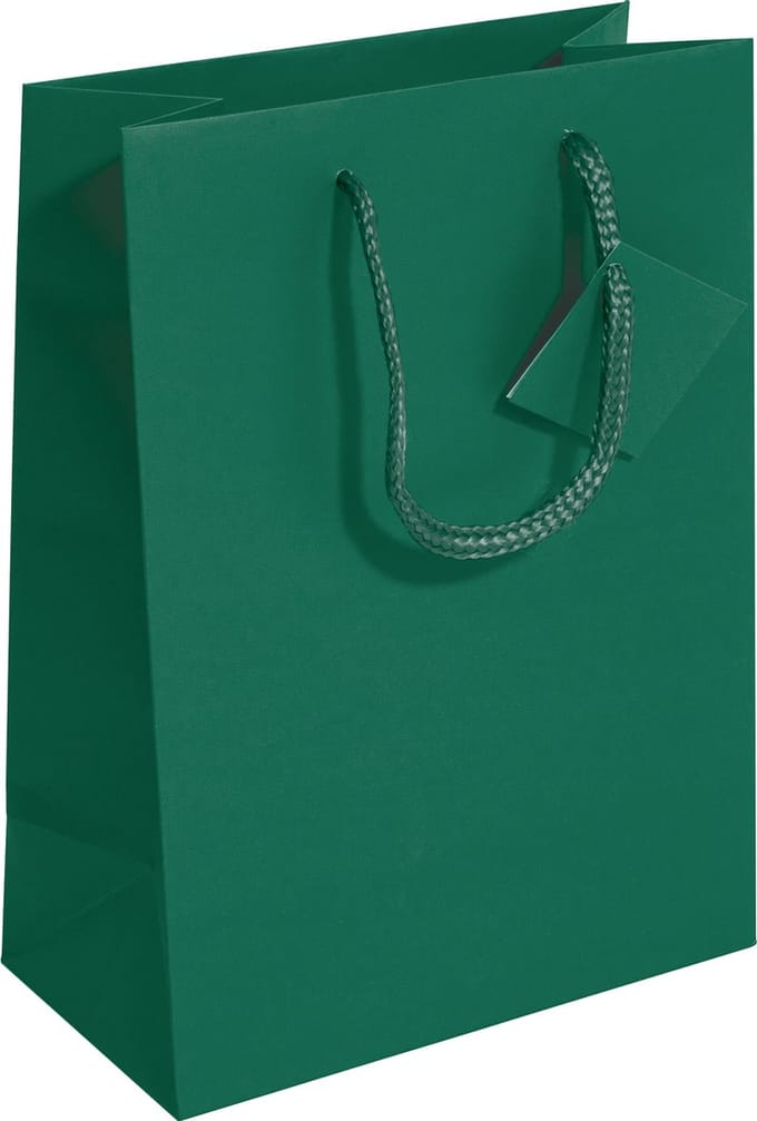 Sigel cadeautas klein 170x230x90 mm opaal groen