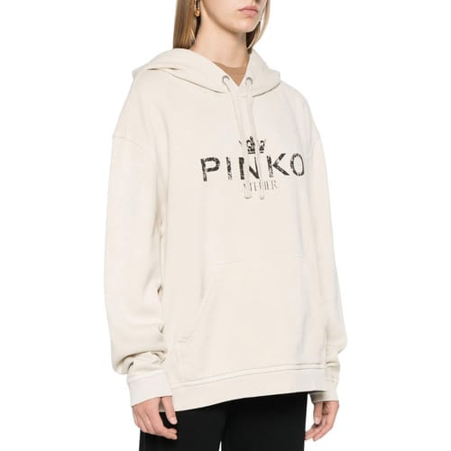 Capuchon sweaters Pinko 104388A27V