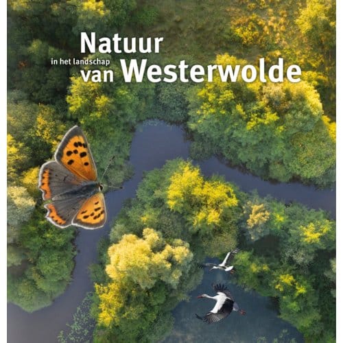 Natuur In Het Landschap Van Westerwolde