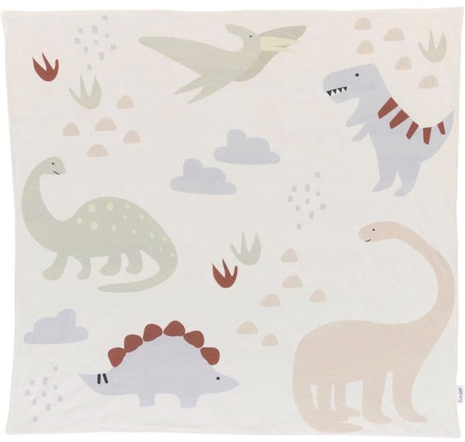 Draagbare speelmat - TINEO - 100 x 100 cm - Dinosaurussen
