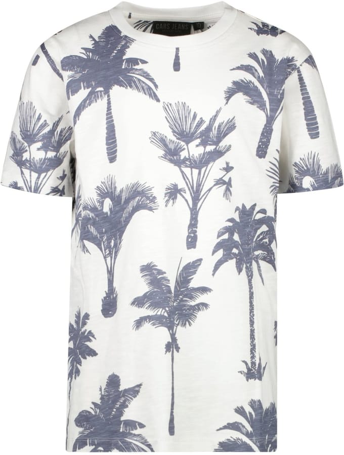 Cars Jeans T-shirt Waswa - Heren