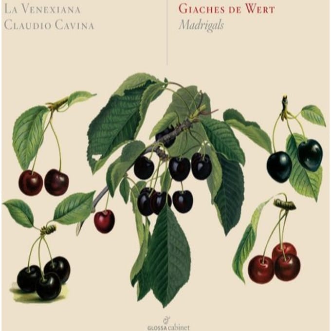 La Venexiana, Claudio Cavina - De Wert: Madrigals (CD)