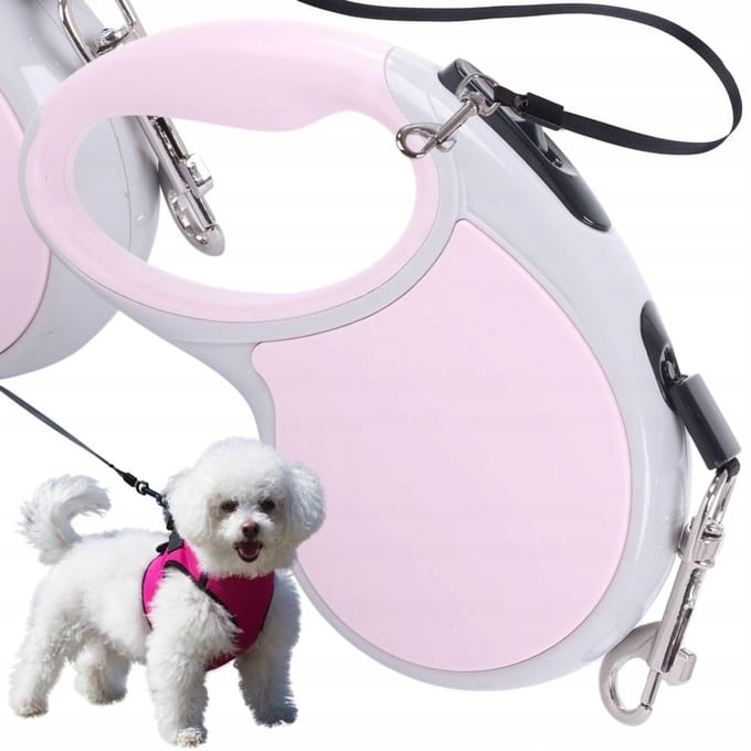 OUYAYING Serie - Automatische Hondenriem - 5m - Voor Honden tot 15kg - Met Blokkering