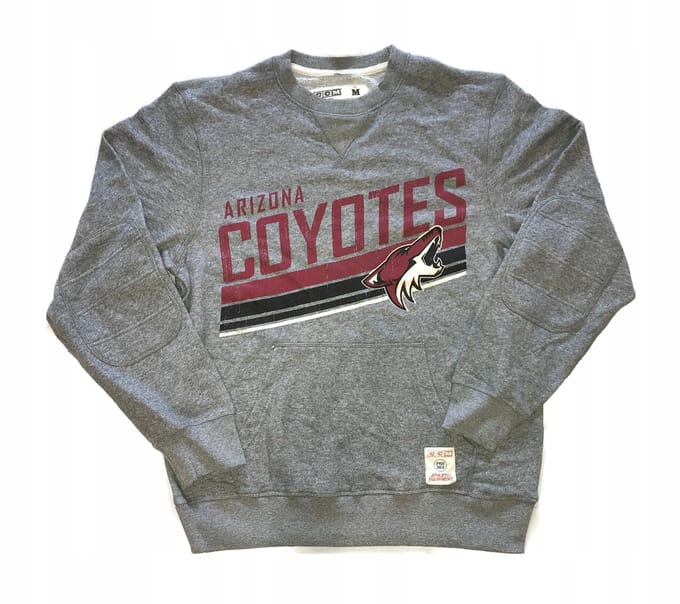 Hoodie Arizona Coyotes Nhl Ccm Pro Vintage L gray