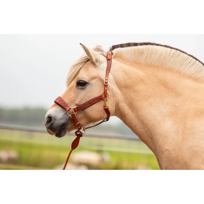 Leren halster voor paarden Edix Saddles Kaily