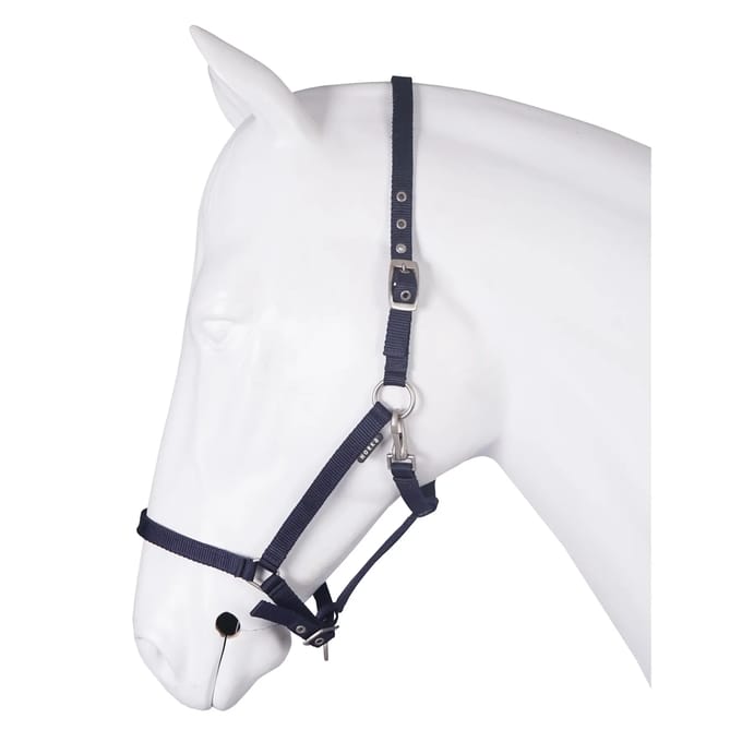 Halsband voor paard basis HORKA