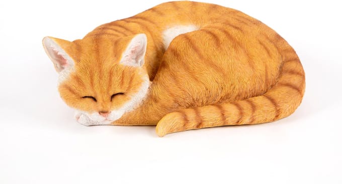 slapende  rood kat