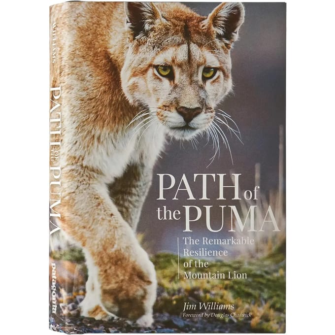 Boek Patagonia Path of the Puma
