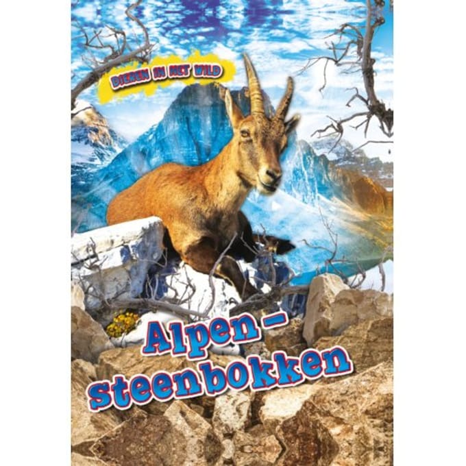 Alpen Steenbokken - Dieren In Het Wild - Kaitlyn Duling