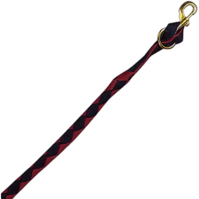 Amerikaans paard lanyard Norton