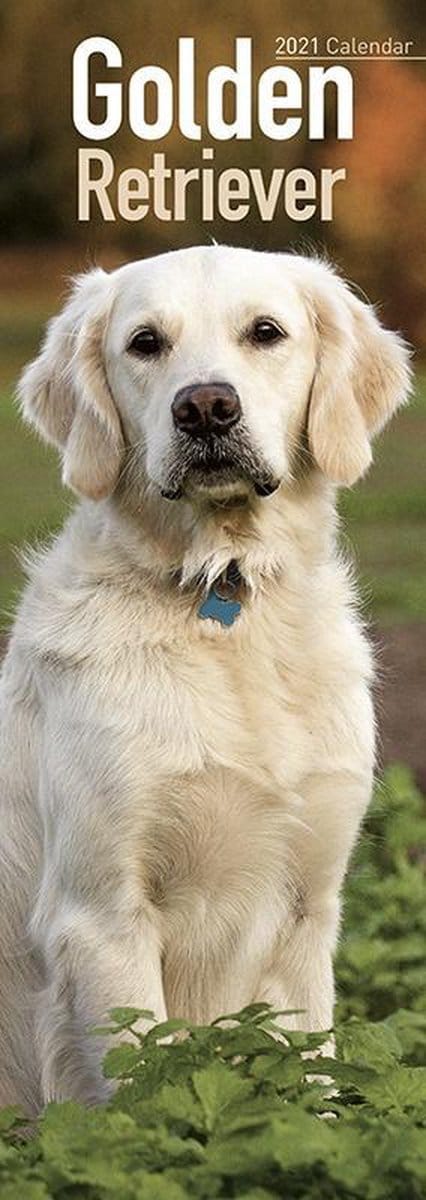 Golden Retriever Kalender 2021 Slimline
