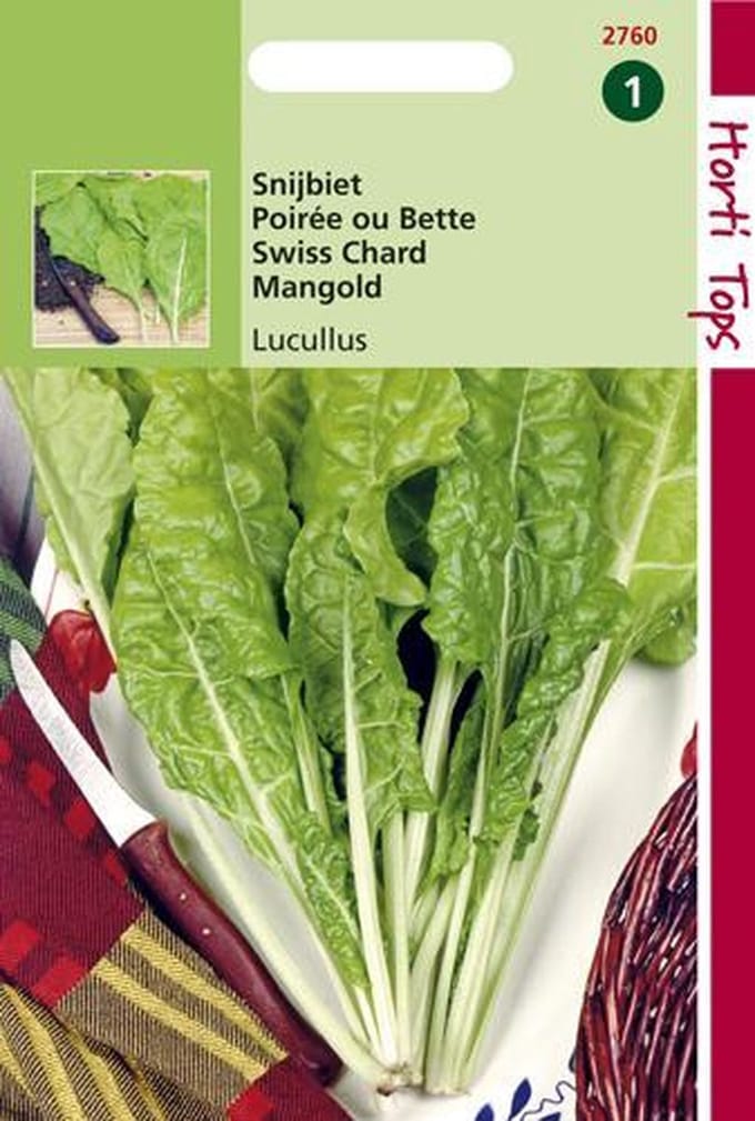 Hortitops Zaden - Snijbiet Lucullus