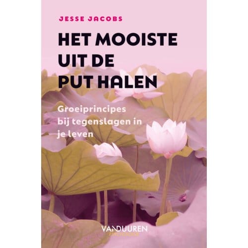 Het Mooiste Uit De Put Halen - Jesse Jacobs