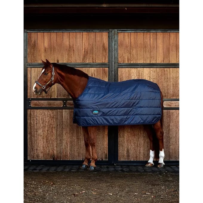 Undercover voor paarden Weatherbeeta Comfitec Thermi-Heat 100g
