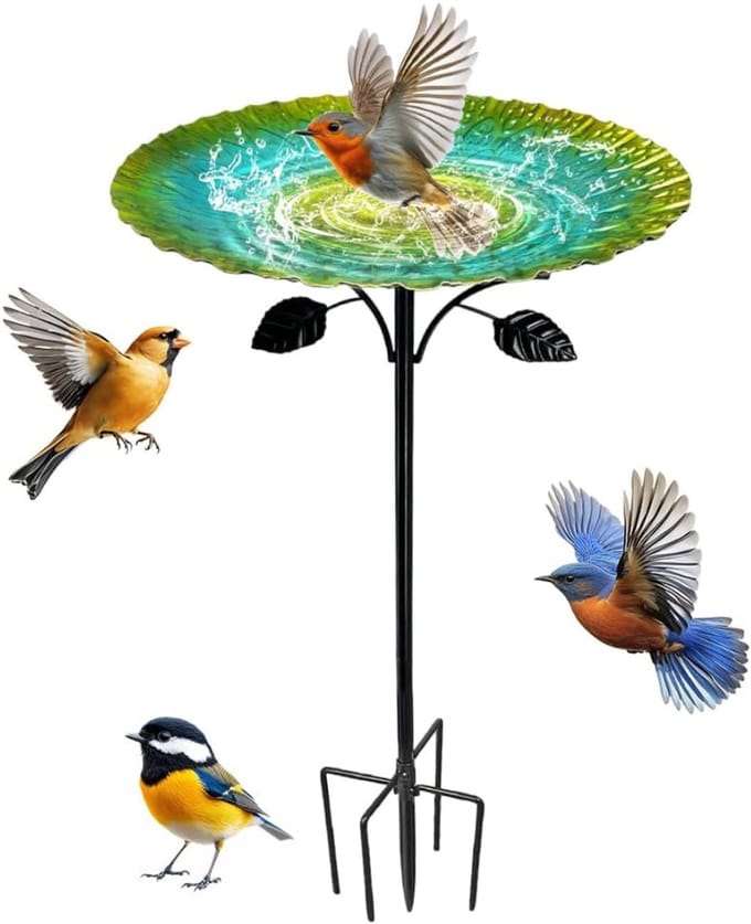 MRKK® Vogelbad op Voet - Vogelhuisje op Paal