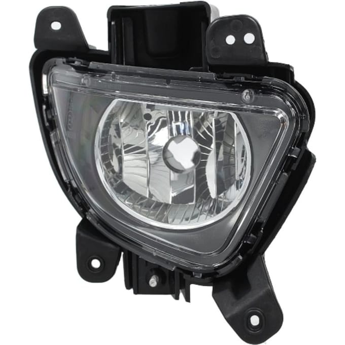 Mistlicht TYC 19-0939-01-2