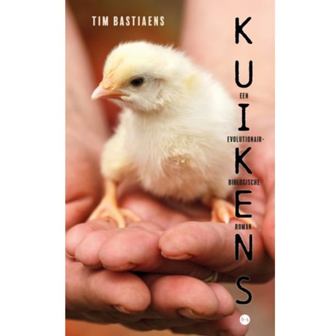 Kuikens - Tim Bastiaens