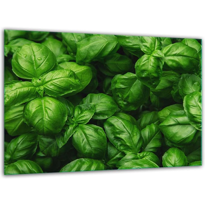 TMK ArtDeko - Gehard Glazen Snijplank - 30x22cm - Basilicum - Krasbestendig