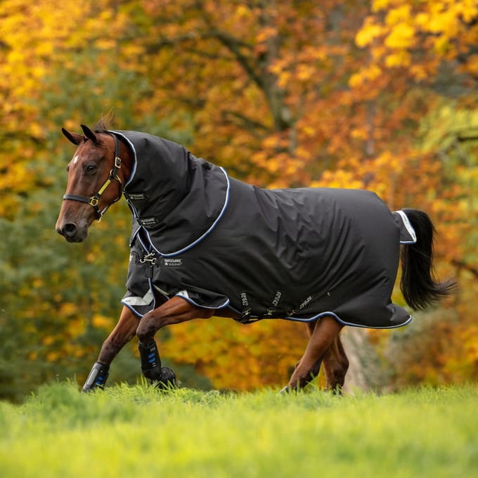 Amigo Bravo 12 Plus Medium 250g Uitrijdeken - Zwart - Pony 90-137 cm