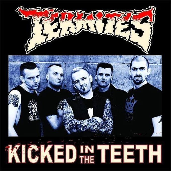 The Termites - Kicked In The Teeth (CD)