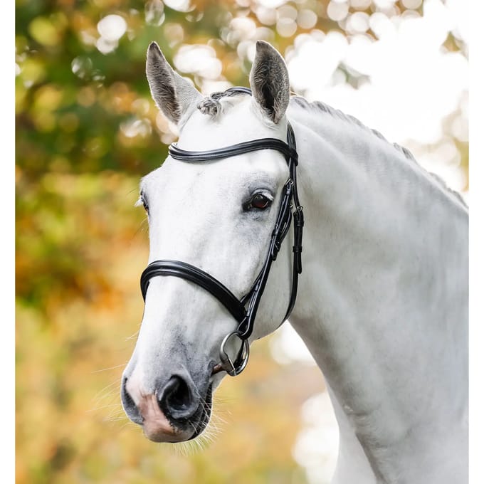 Hoofdstel Horseware