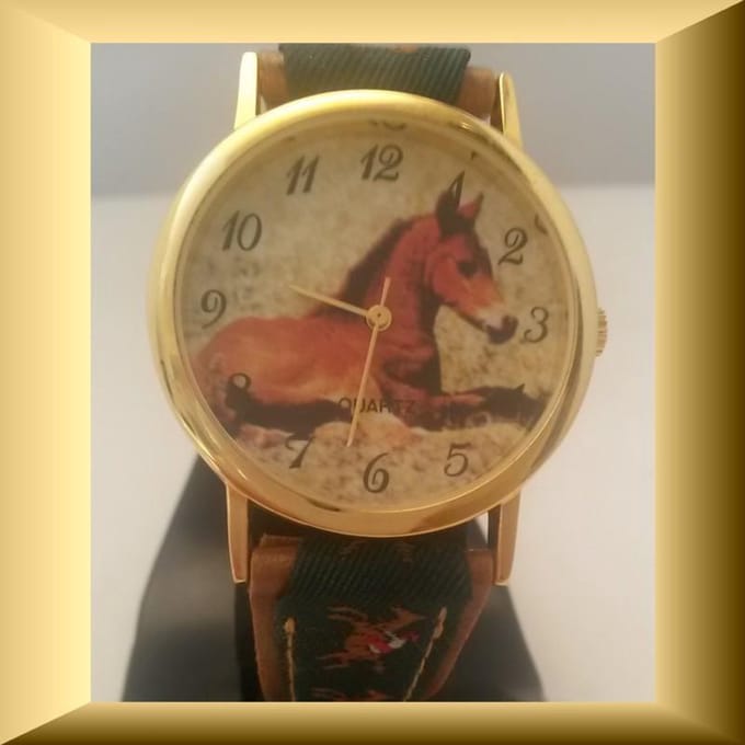 Apart horloge met veulen