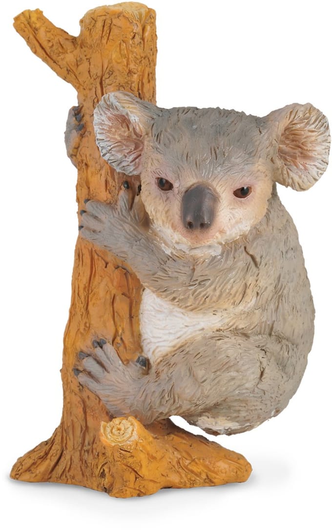 COLLECTA Figurine - Koala - (M)