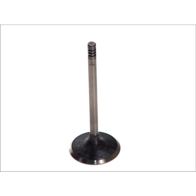 Inlaatklep PARADOWSCY PFOR005