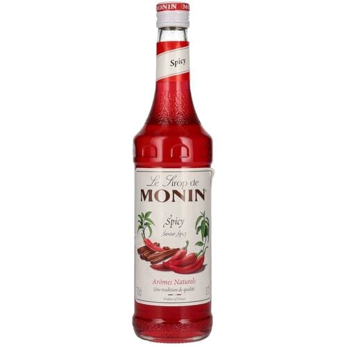Le Sirop de Monin SPICY 0,7l