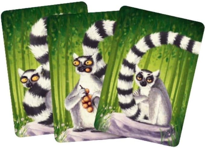 Lemur Tails - Kaartspel - Jolly Dutch