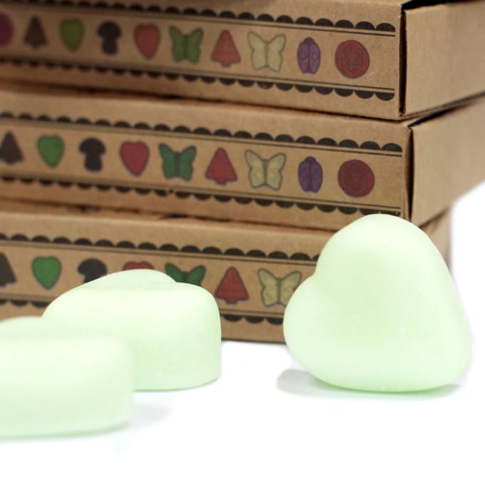 Cadeauset van 6 waxmelts - Watermelon Fresh