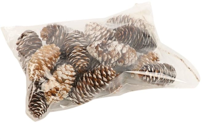 Decoratieset Pinecone Spruce 150gr