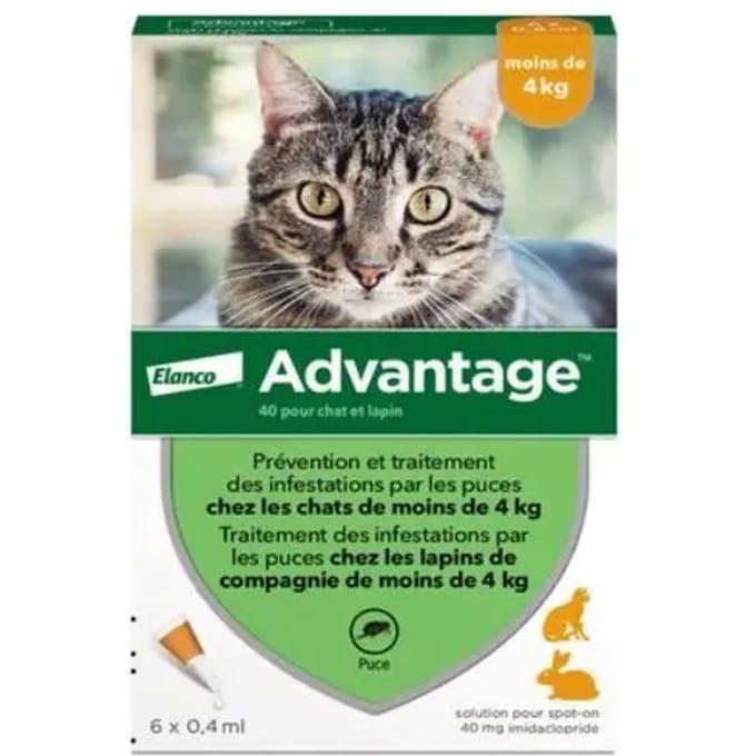 Anti-vlooien Elanco Advantage (0-4 kg)C