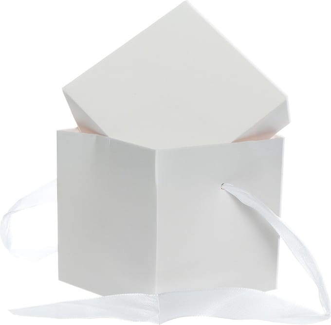 Set van 2 Verpakkingsdozen – Cadeaudozen met Lint - 10x10cm