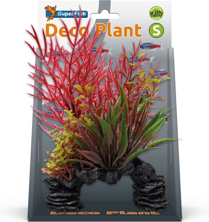 Superfish Deco Plant S Ludwigia - OPRUIMING