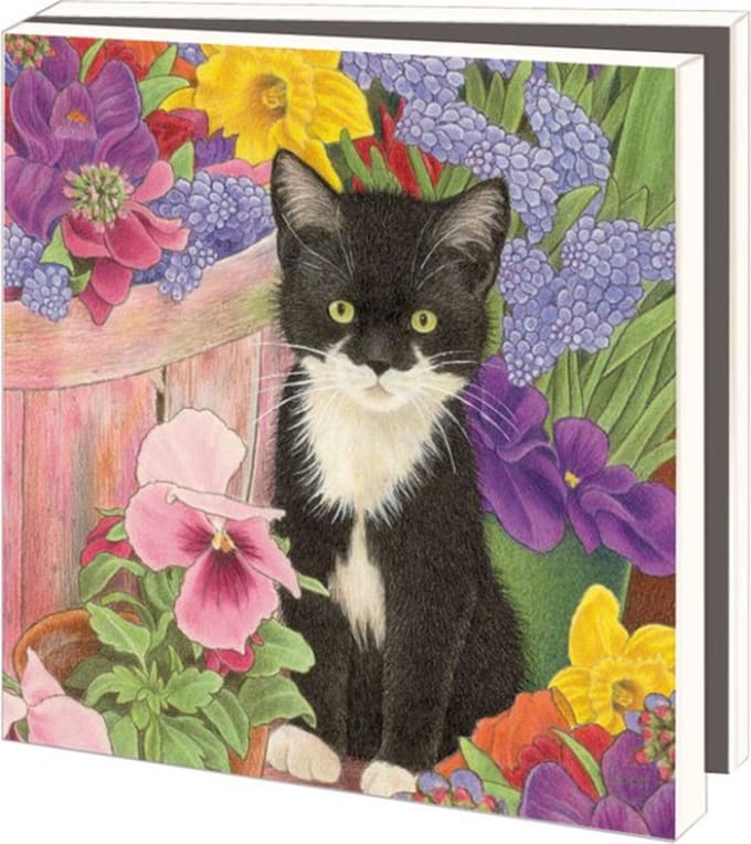 Kaartenmapje met env, vierkant: Kittens, Francien van Westering