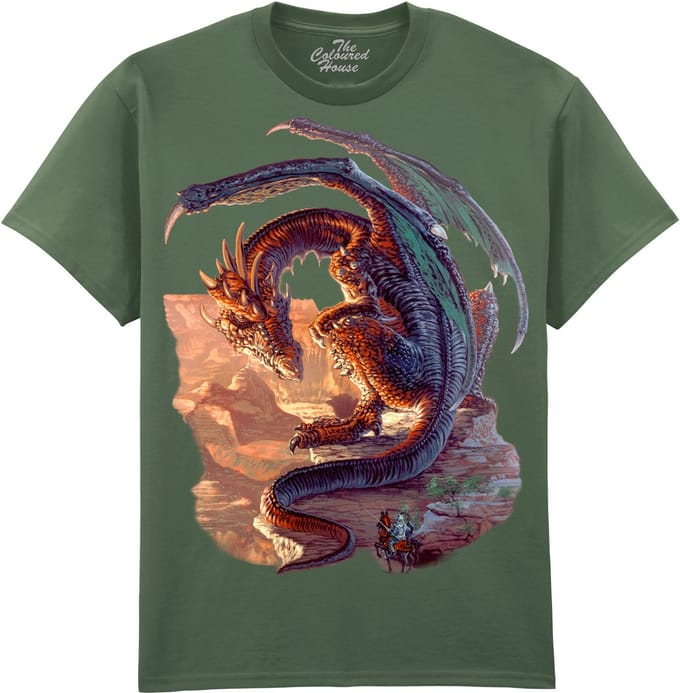 Draak Bravery Misplaced The Coloured House T-shirt M