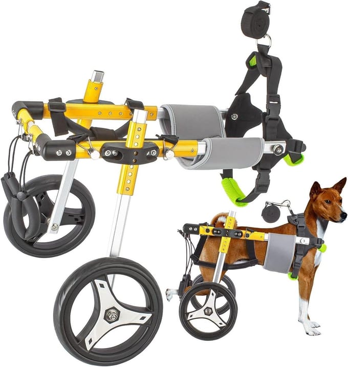 Hond Rolstoel medium