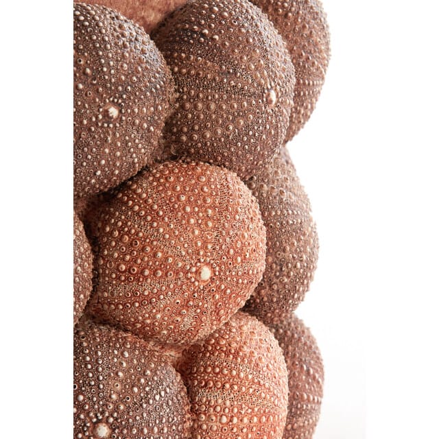 Light & Living - Vaas SEA URCHIN - Ø20.5x18cm - Rood