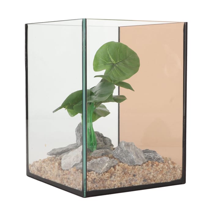 Aquarium en verre Mini Compact Ingénieux Sûr Faible Bruit Changement d'eau Libre Kit d'aquarium pour Table white