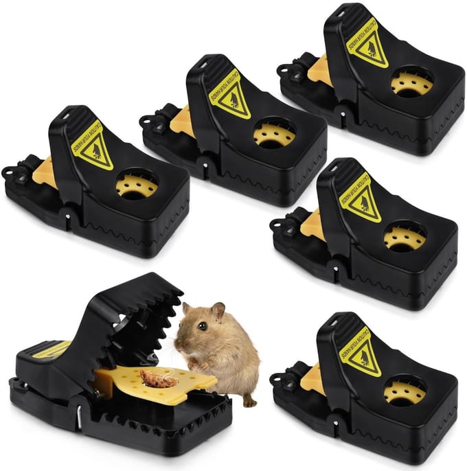 Dailygoody - Muizenval - Rattenval 6-pack - Herbruikbaar en Duurzaam