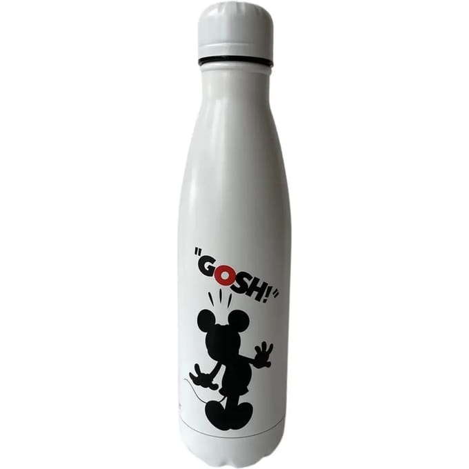 Isolerende roestvrijstalen drinkfles voor kinderen Lyo Disney Mickey