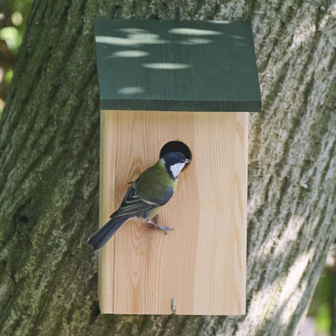 Nestkast Keulen 32 mm