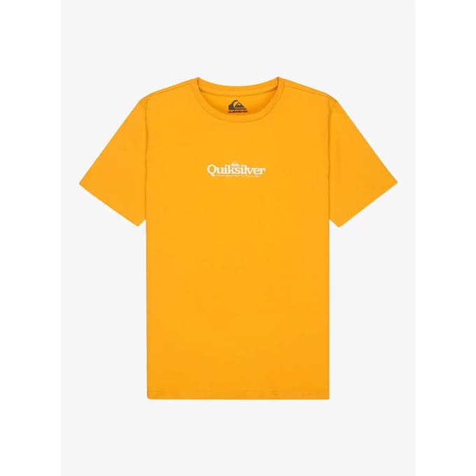 T-shirt kind Quiksilver Fineline