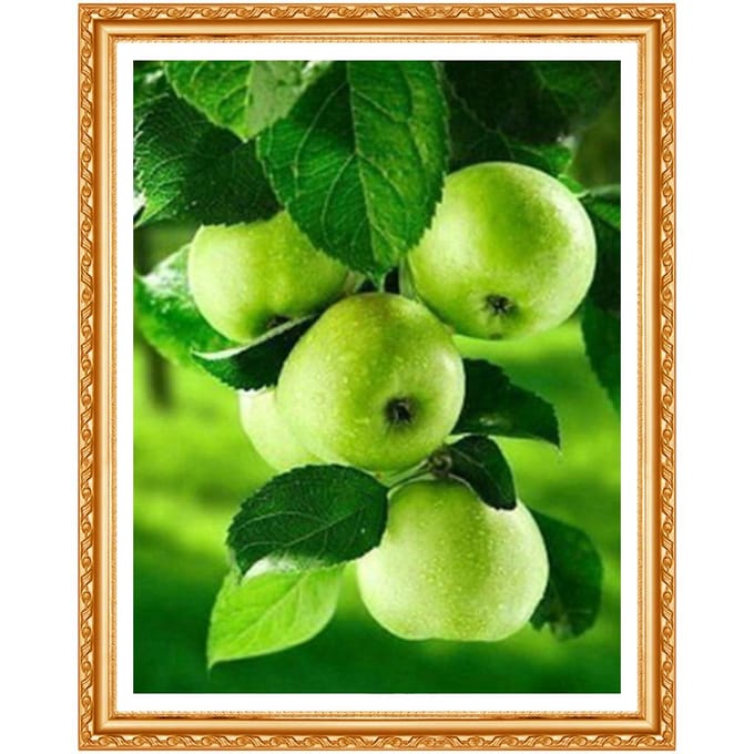 Peinture au Diamant Fruits Pommes Motif Complet Broderie Diamant Strass Kit Diamant Décor 20X30CM black