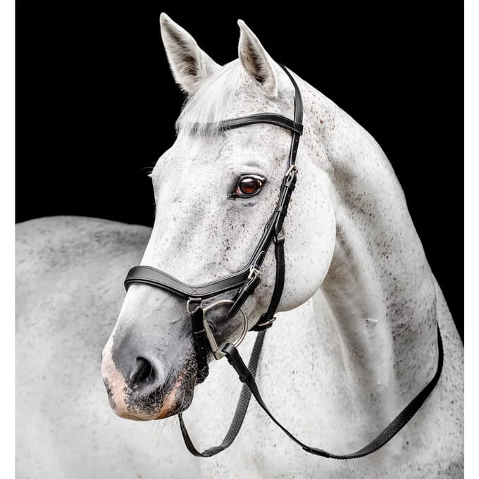 Hoofdstel Horseware Micklem
