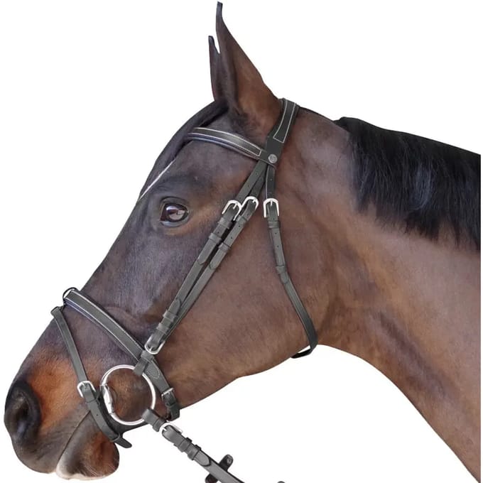 Hoofdstellen, plat, gevoerd Canter