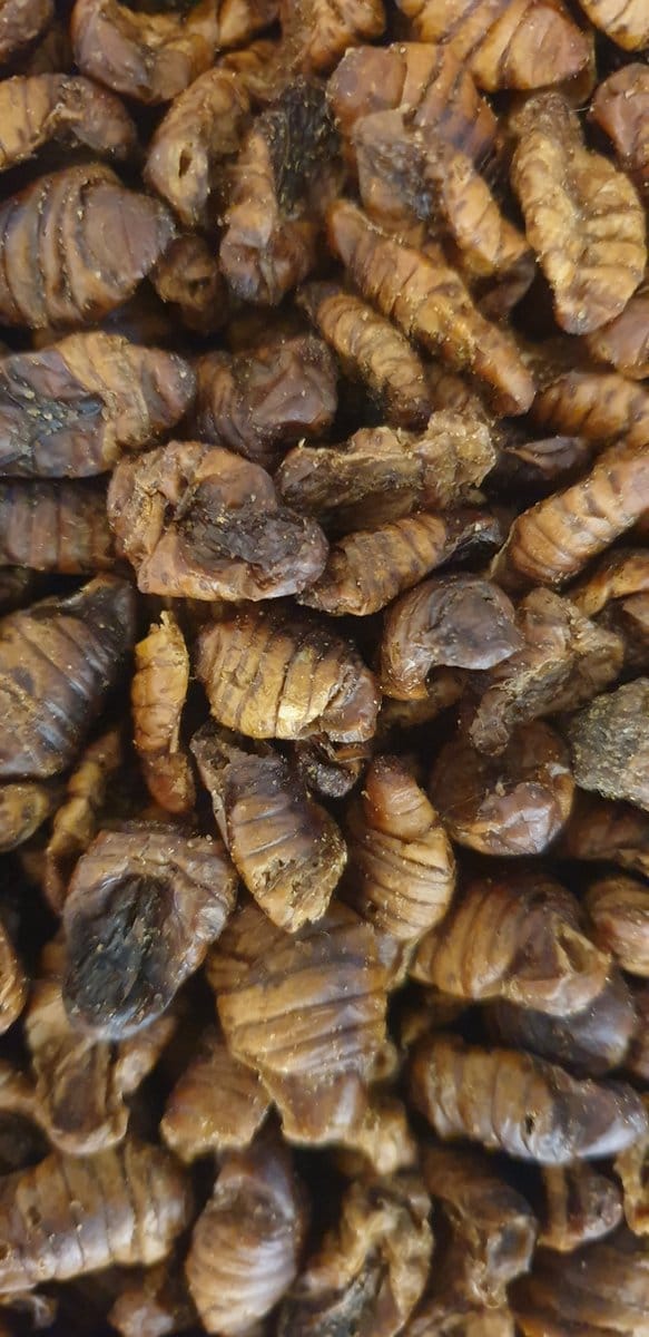Zijderupsen 100 gram